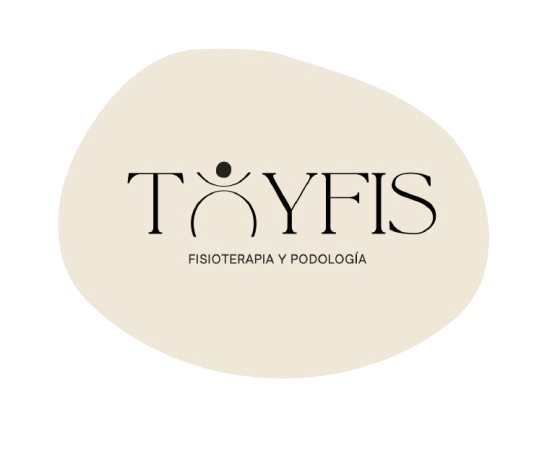 TOYFIS